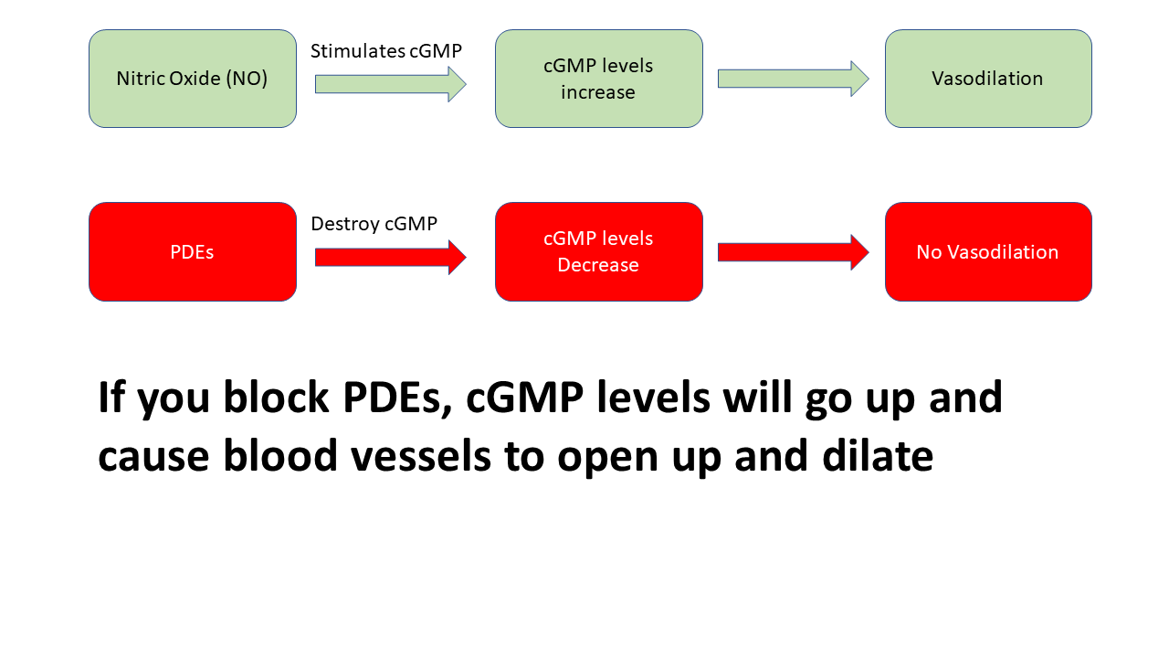 Viagra NO PDEs Mechanism