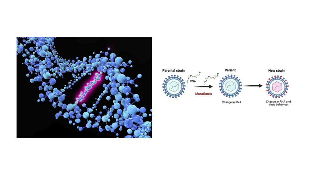 Who will die in Covid-19- mutation