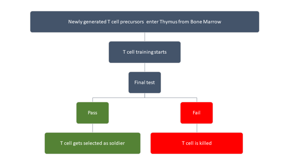 Who will require NOT hospitalization in Covid-19- Thymus training