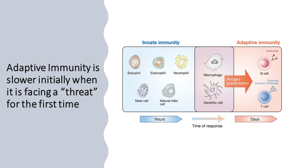 Who will require hospitalization in Covid-19- primary response