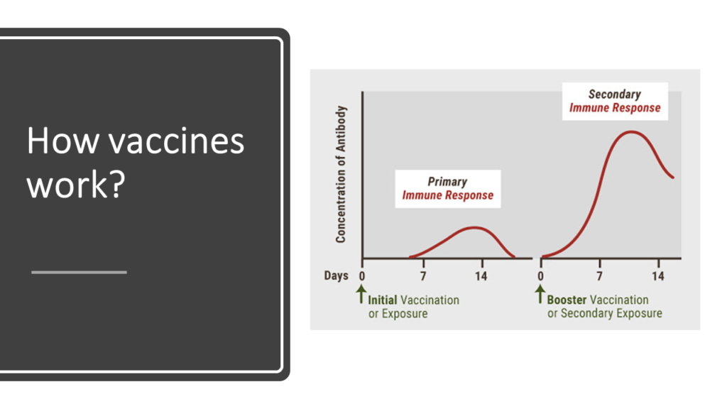 Who will require hospitalization in Covid-19- vaccines work