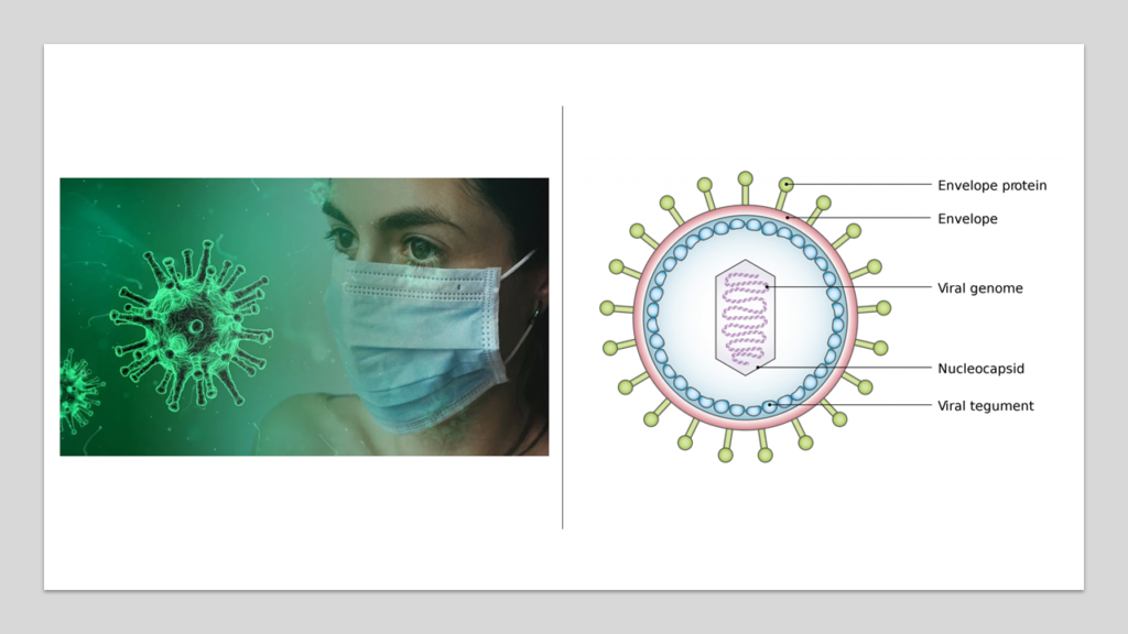 Who will require hospitalization in Covid-19- virus structure