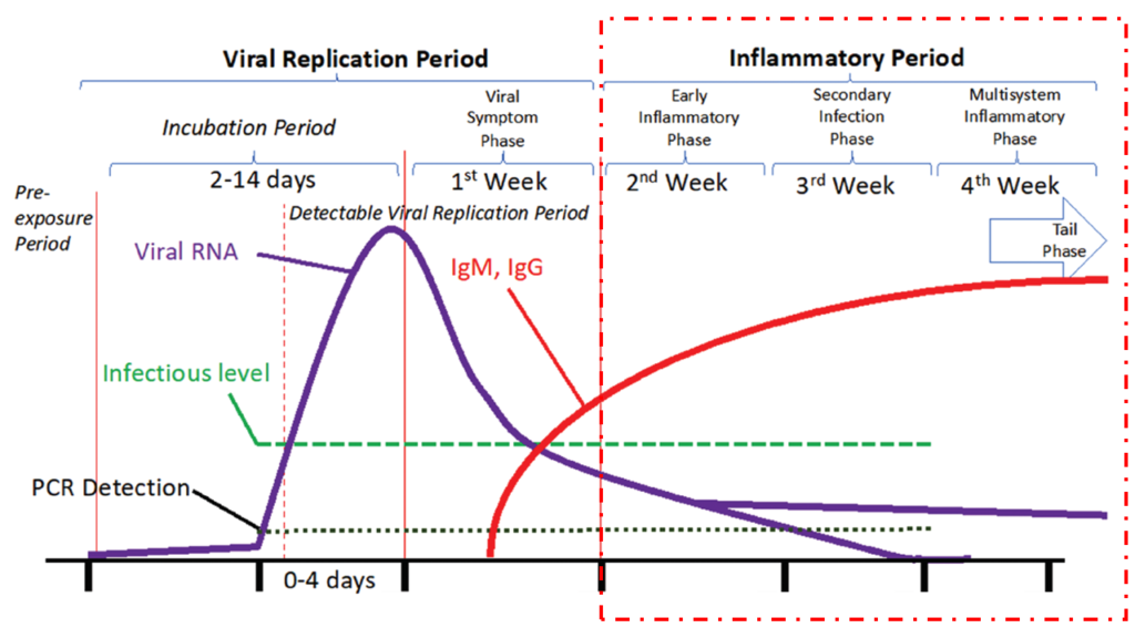 Defeating COVID-19- inflammatory period