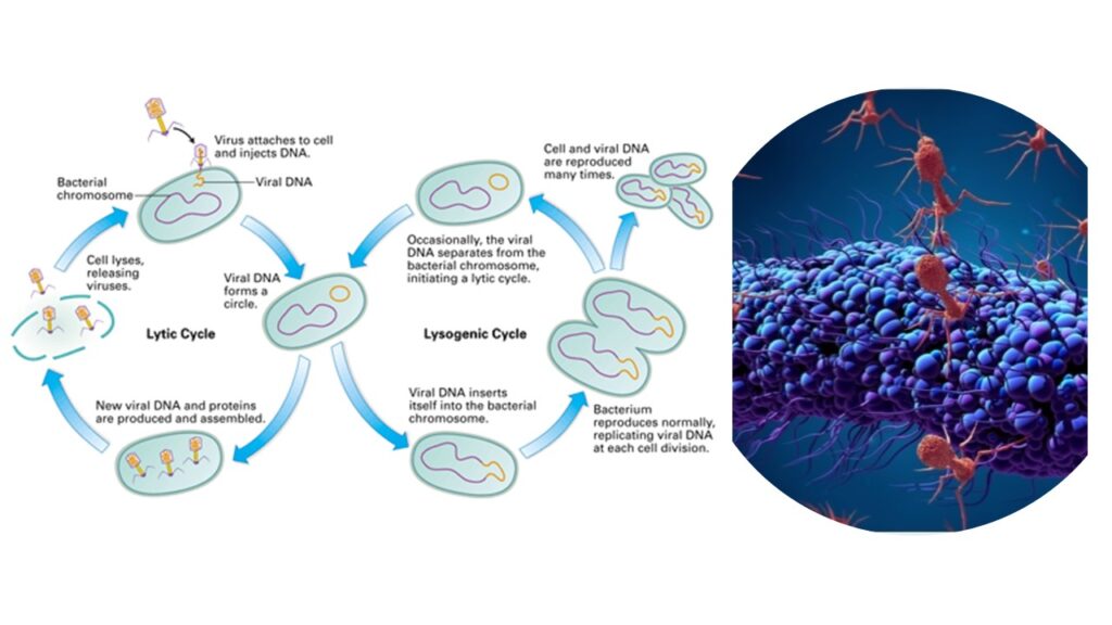 Intelligent virus decision making