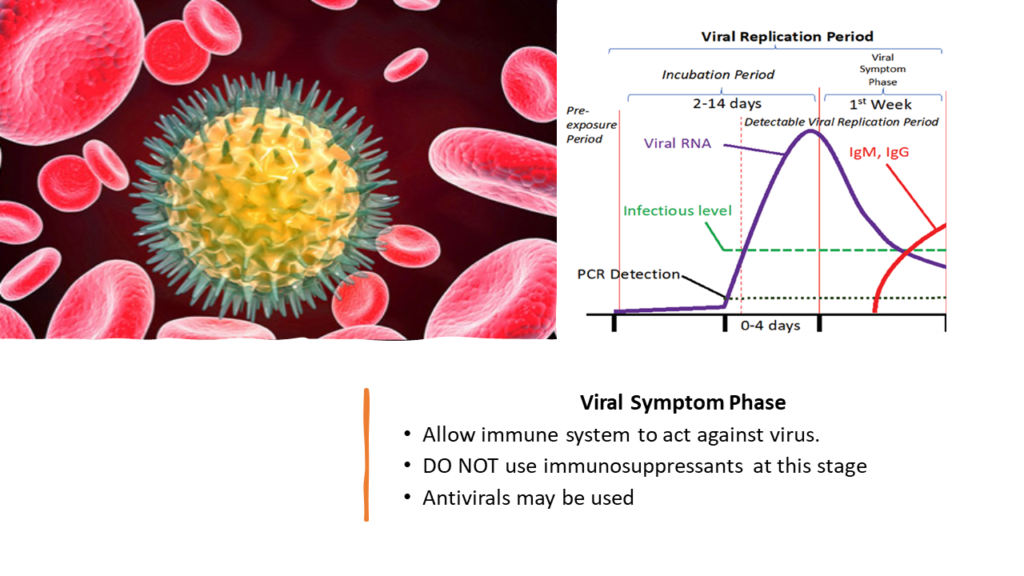 Treat COVID viral symptom phase