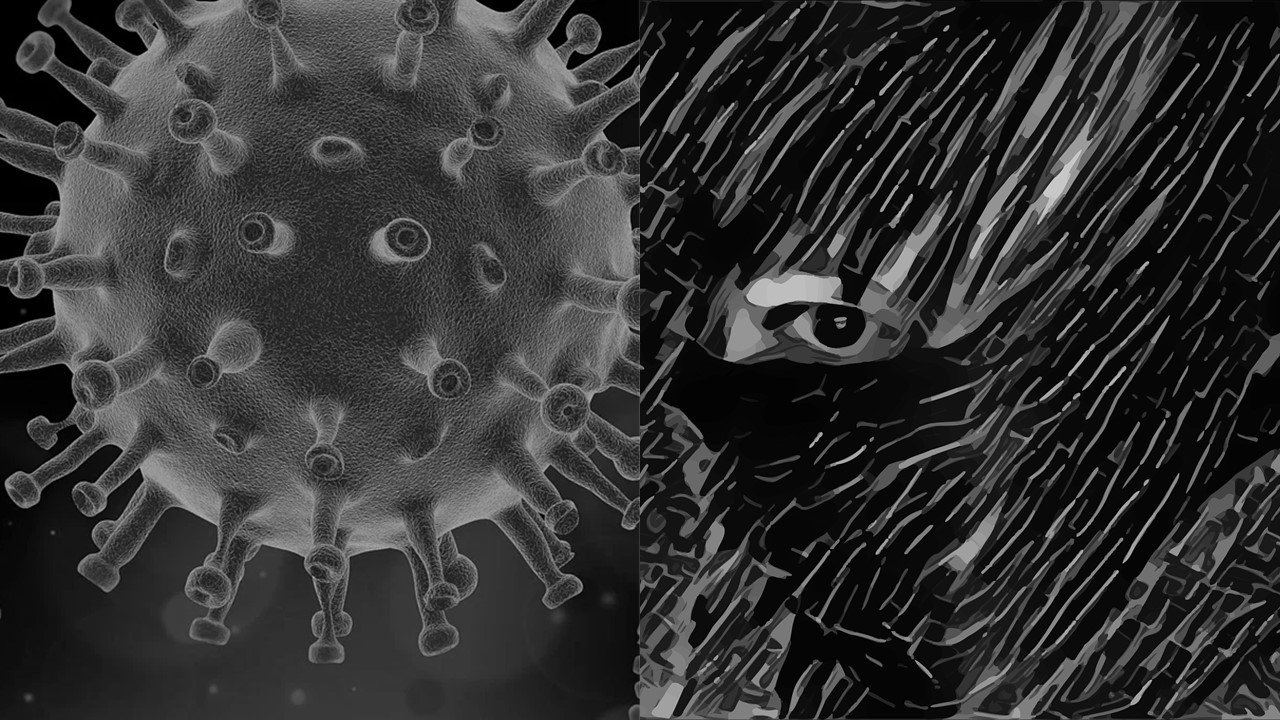 COVID-19 an intelligent virus