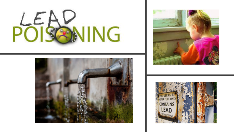 Lead Poisoning main