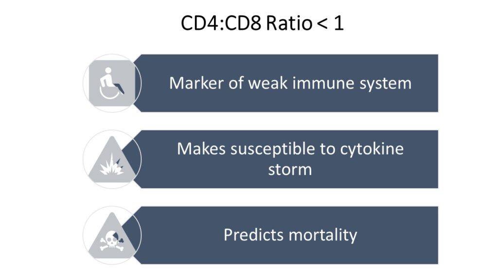 Immune System- Immunosenescence