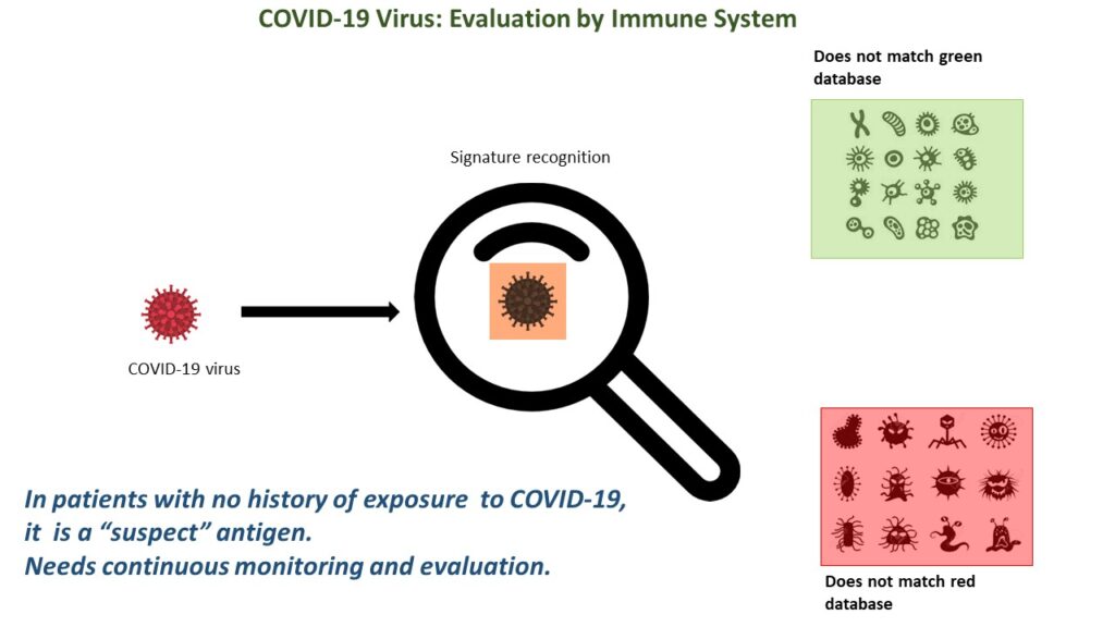 Immune System Recognition- Suspect Antigen