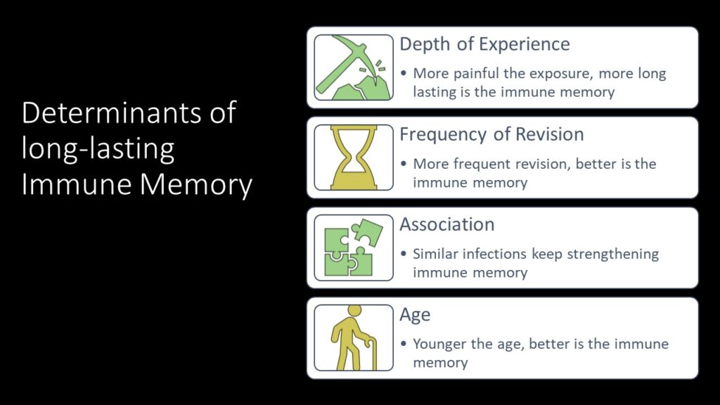 Immune system- memory determinants
