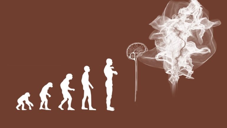 Human Evolution- cover
