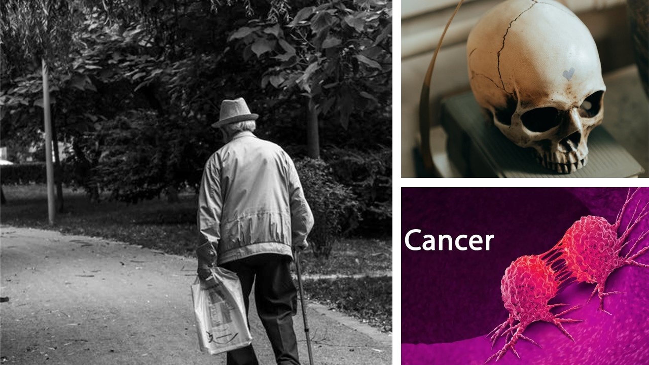 Old Age Predisposes Us to Cancer- Really?