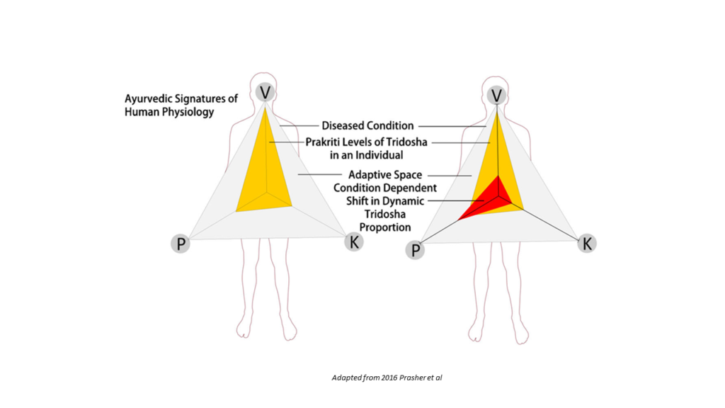 Doshas and Prakriti Ashtanga Hridayam