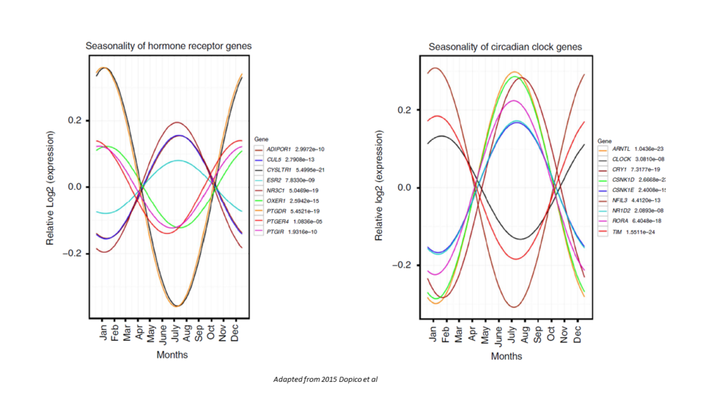 Seasons And Medicine- circadian hormone genes