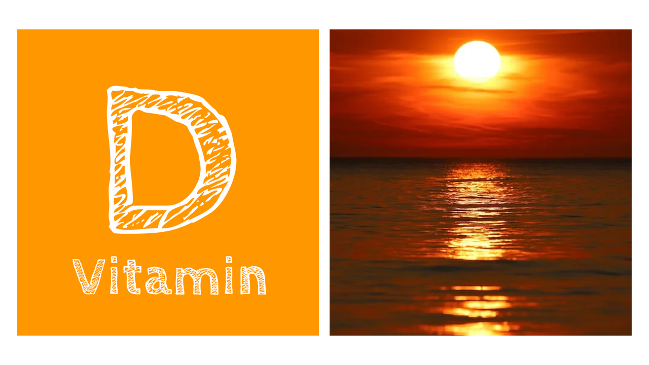 Vitamin D and Sunlight- The Magic of Evolution