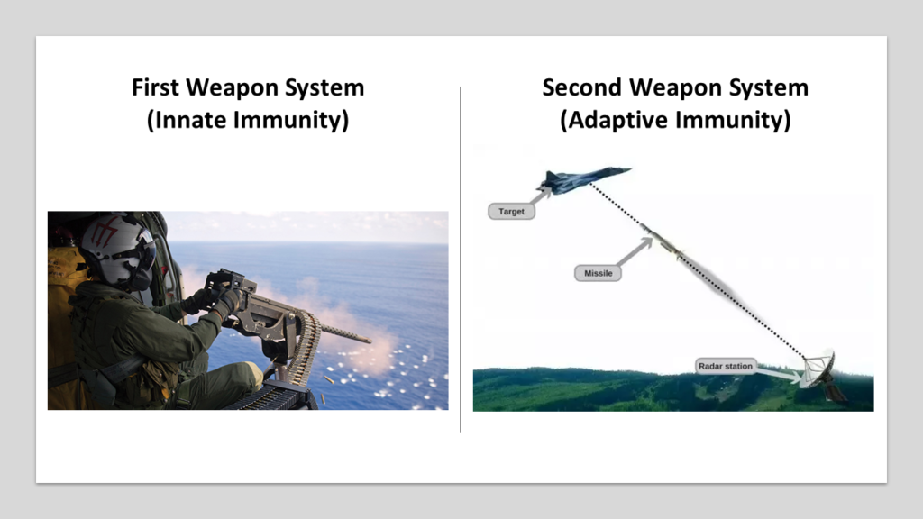 Innate vs adaptive immune system